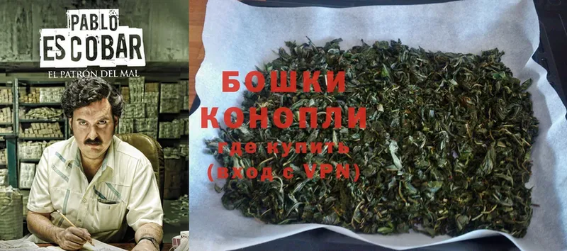 Бошки марихуана THC 21%  Венёв 